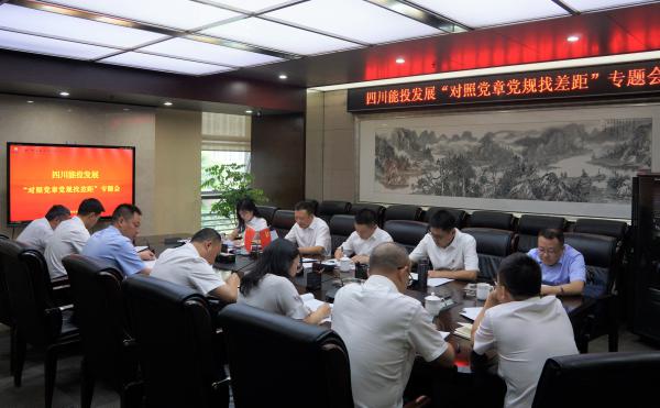 英国威廉集团官网党委召开“对照党章党规找差距”专题会