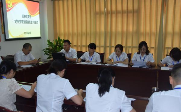 正视差距 查摆问题——川能屏山电力各党支部开...